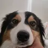 Carolina Pattillo - @carolina.pattillo - TikTok