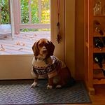 Caroline Pattillo Rostick - @carolineprostick - Instagram
