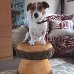 Carol Payne - @carolpayne231159 - Instagram