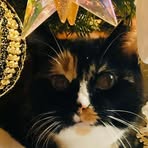 Carol Payne - Facebook