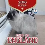 Carol Payne - @carolpayne9 - Instagram