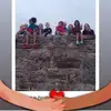 carolpayne25 - @carolpayne25 - TikTok