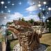 Carol Payton - Facebook