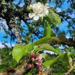 Carol Peake - @carol.peake.7 - Instagram