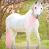 Carol Peakes - @carol.peakes - TikTok
