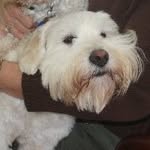 Carol Morris Peck - @carolpeck19 - Instagram