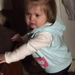 Carol Peck - @cgpeck1 - Instagram
