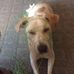 Carol Peck - Facebook