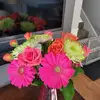 Carol Peck - @carol.peck98 - TikTok