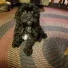Carol Peck - @carol.peck5 - TikTok