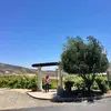 carolpeck803 - @carolpeck803 - TikTok