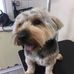 Carol Peckham - Facebook