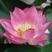 Carol Peddle - Facebook