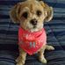Carol Peden - Facebook