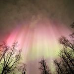 Carol Peden - @peden4567 - Instagram