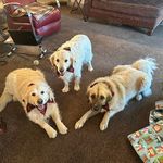 Carol Teske Peden - @critter_lover_ - Instagram