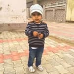 Carol Peehu - @carolpeehu - Instagram