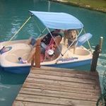 Carol Peebles - @carolpeebles31751 - Instagram