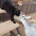 Carol Peek - Facebook