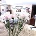 Carol Peet - Facebook