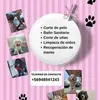 Carol Pets - @carol.pets2 - TikTok