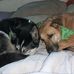 Carol Polak - Facebook