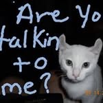 Carol Pelham - @carolynpelham660 - Instagram
