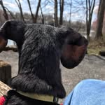 Carolyn Pelham - @cap6833 - Instagram
