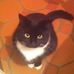 Carol Pemberton - Facebook
