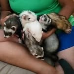Carol Pendergrass - @cjneal63 - Instagram
