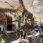Carol Peng - @carolpengp - Instagram