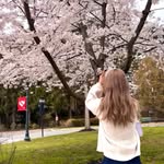 Carol Peng - @ccccarollll4 - Instagram