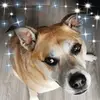 carol - @carolpenman0 - TikTok