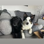 Carol Penman - @carpen22 - Instagram