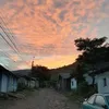 Carol Penman - @user7847320185196 - TikTok