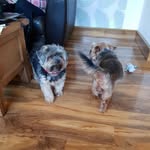 Carol Pennington - @carol.pennington.94 - Instagram