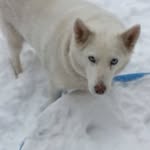 Carol Pennington - @cpennington2008 - Instagram