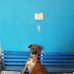 Carol Pennington - Facebook