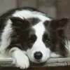 Caroline Penson - @caroline.penson - TikTok