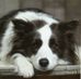 Caroline Penson - Facebook