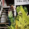 Carol Pera - @carol.pera06 - TikTok