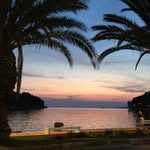 Carol Pickering - @cnpickering45 - Instagram