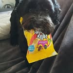 Carol Pickering - @carolpickering24 - Instagram