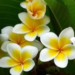 Carol Pickering - @carolinepickering11 - Instagram