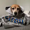 caroline!! - @caroline.pickering - TikTok