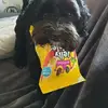 carolpickering95 - @carolpickering95 - TikTok