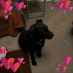Carol Pott - @carol.pott.9 - Instagram