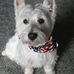 Carol Pott - Facebook