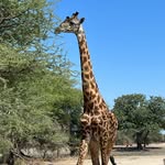 Carol Pott Schultz - @carolpottschultz - Instagram