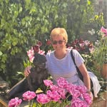 Carol Potts - @carol.potts51 - Instagram